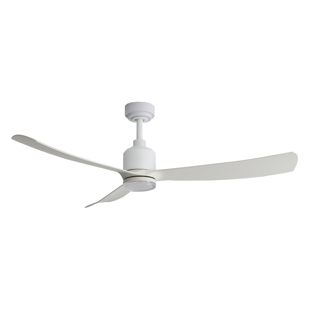 Whirl Fan