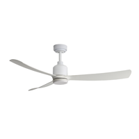 Whirl Fan