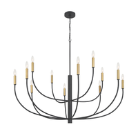 Hayden 12 Light Chandelier