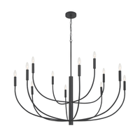 Hayden 12 Light Chandelier