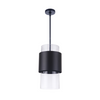 Jupiter 1 Light Pendant