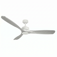 Blade Fan