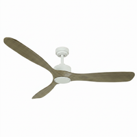 Blade Fan