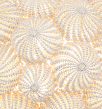White coco bead chandelier with floral medallion design and soft ambient lighting