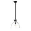 Lenox 1 Light Pendant - Black