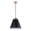 Black and Brass 1 Light Pendant
