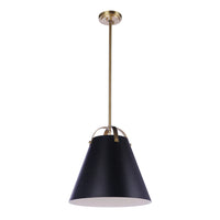 Black and Brass 1 Light Pendant
